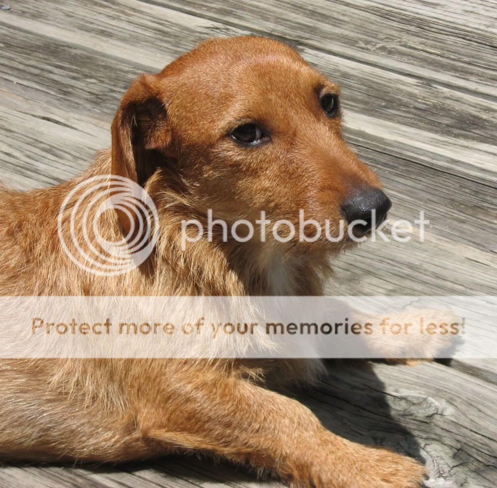 Posted Image