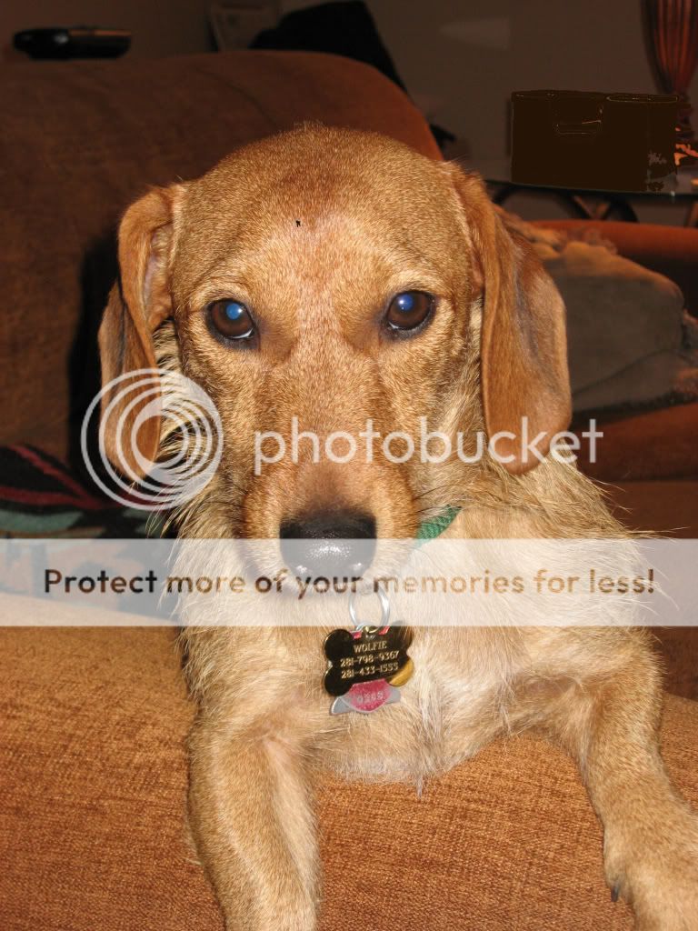 Posted Image