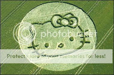 crop8_817663a.jpg
