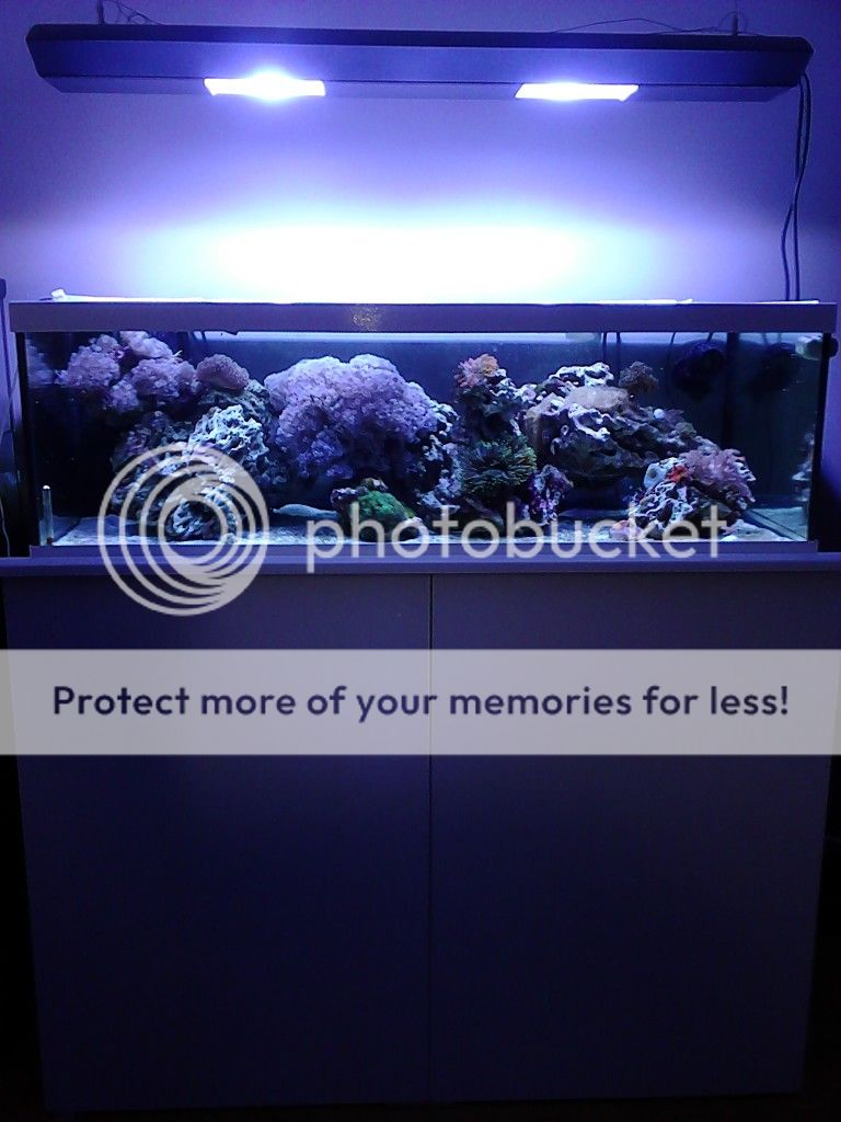 deep blue 80 gallon rimless