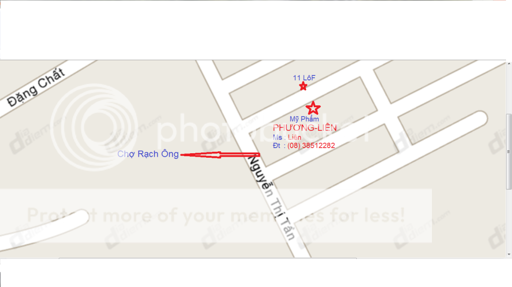 Hoa Lan Hồ Điệp Rực Rở Mùa Xuân - Giá Sỉ/Lẻ Cực Tốt - 17