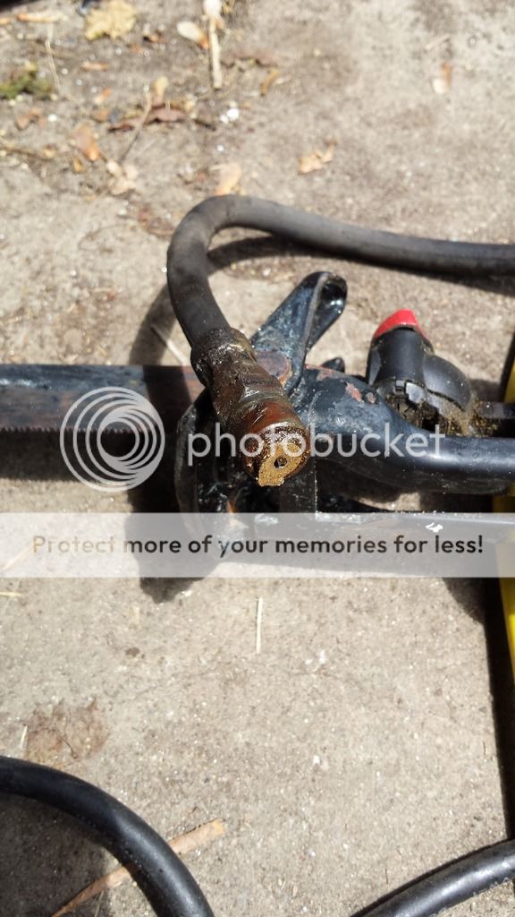 photo badnut_zpstrblrszy.jpg