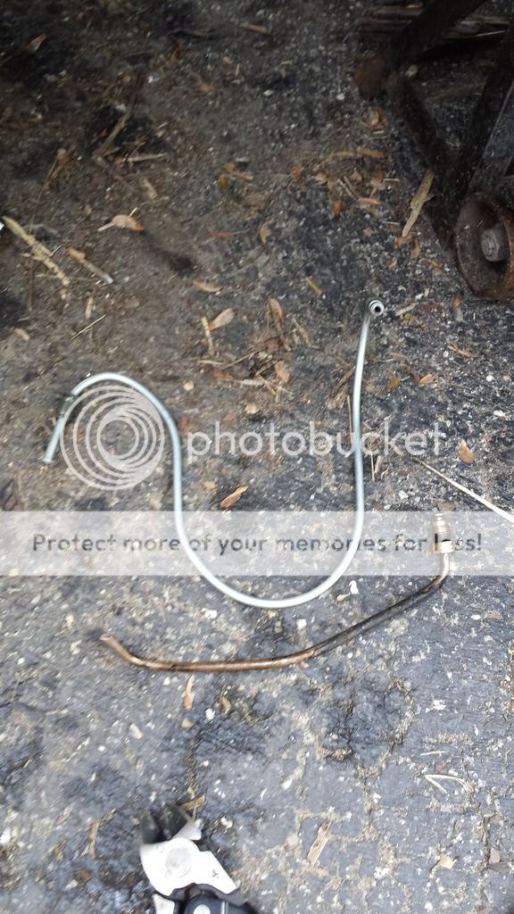 photo newline_zpsvqj9ealu.jpg