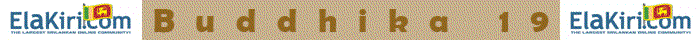 Untitled-1-1.gif